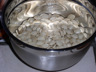 Pumpkin Seeds, soaking