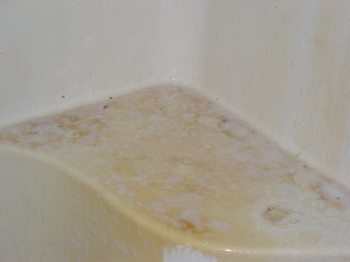 Shower - After