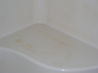Shower - After