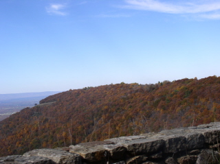 PA250012-2 PA250012-2
