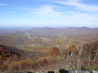 PA250039-2 PA250039-2