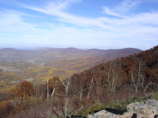 PA250042-2 PA250042-2