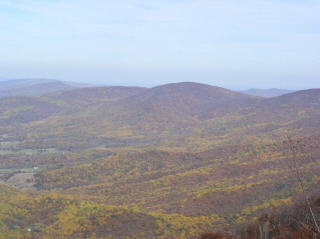 PA250044-2 PA250044-2