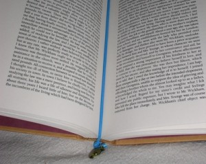 elasticbookmark5