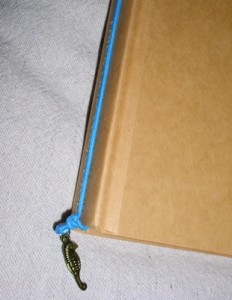 elasticbookmark6