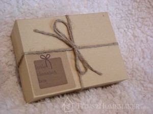 Little Cleaning Box