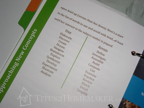 teaching tools - Kidzmet - Parent's Playbook